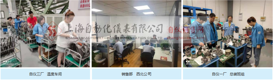 上海自動化儀表有限公司銷售部和研控組