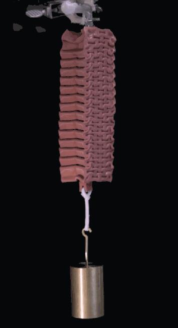 圖2  顯示鞋面舉重。