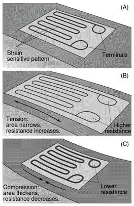 重點(diǎn)解說關(guān)于傳感器類型的全部基礎(chǔ)內(nèi)容