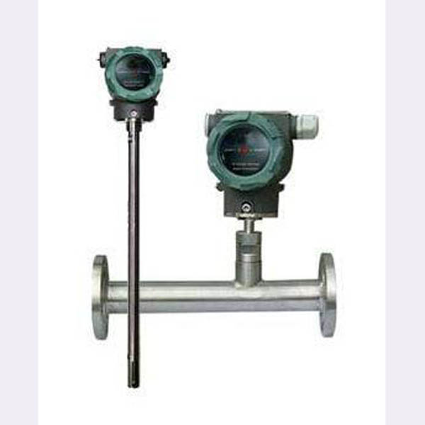 熱式質(zhì)量流量計(jì)